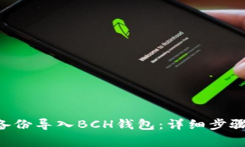 如何将BTC备份导入BCH钱包：详细步骤与注意事项