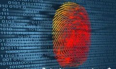 TP钱包转出手续费解析：一