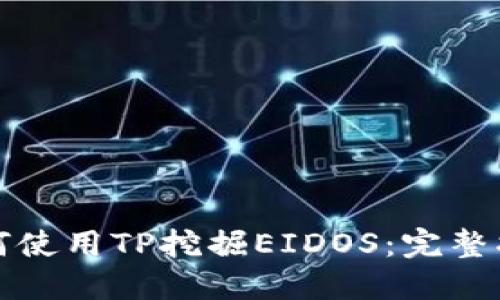 如何使用TP挖掘EIDOS：完整指南