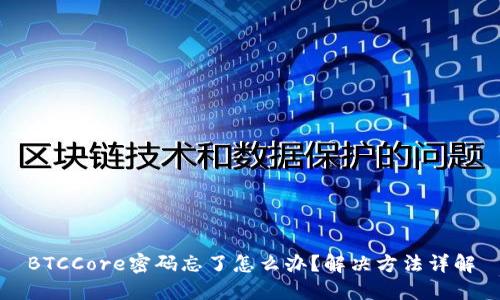 BTCCore密码忘了怎么办？解决方法详解