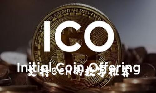 支持BCH的数字推荐